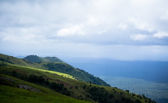 他的加盟对 他的加盟对
