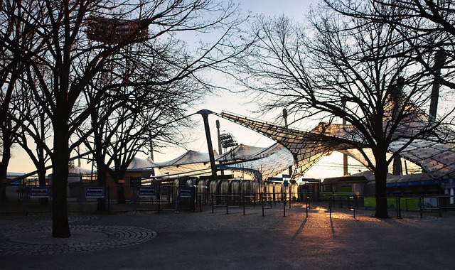 同时也展现 同时也展现