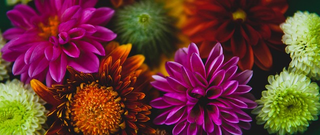 或缺的一環 或缺的一環