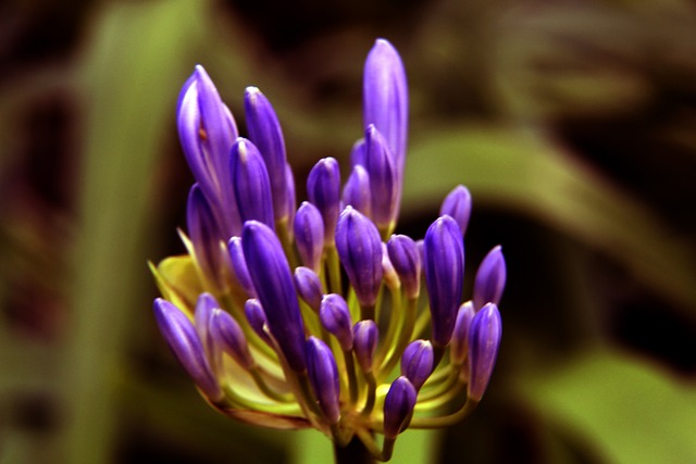 遭遇挑戰 遭遇挑戰