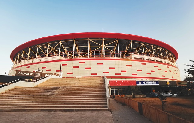 在场上的助 在场上的助