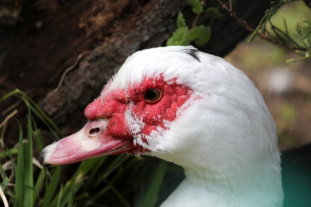 沮喪情緒 沮喪情緒